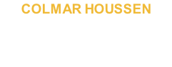 COLMAR HOUSSEN for Microsoft Flight Simulator  15,95 €