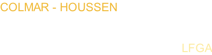 COLMAR - HOUSSEN          pour MSFS   AÉROPORT DE COLMAR       			   LFGA