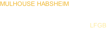 MULHOUSE HABSHEIM       for MSFS   MULHOUSE  AIRFIELD             LFGB