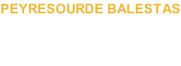 PEYRESOURDE BALESTAS pour Microsoft Flight Simulator  12,95 €