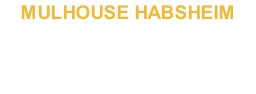 MULHOUSE HABSHEIM pour Microsoft Flight Simulator  11,95 €